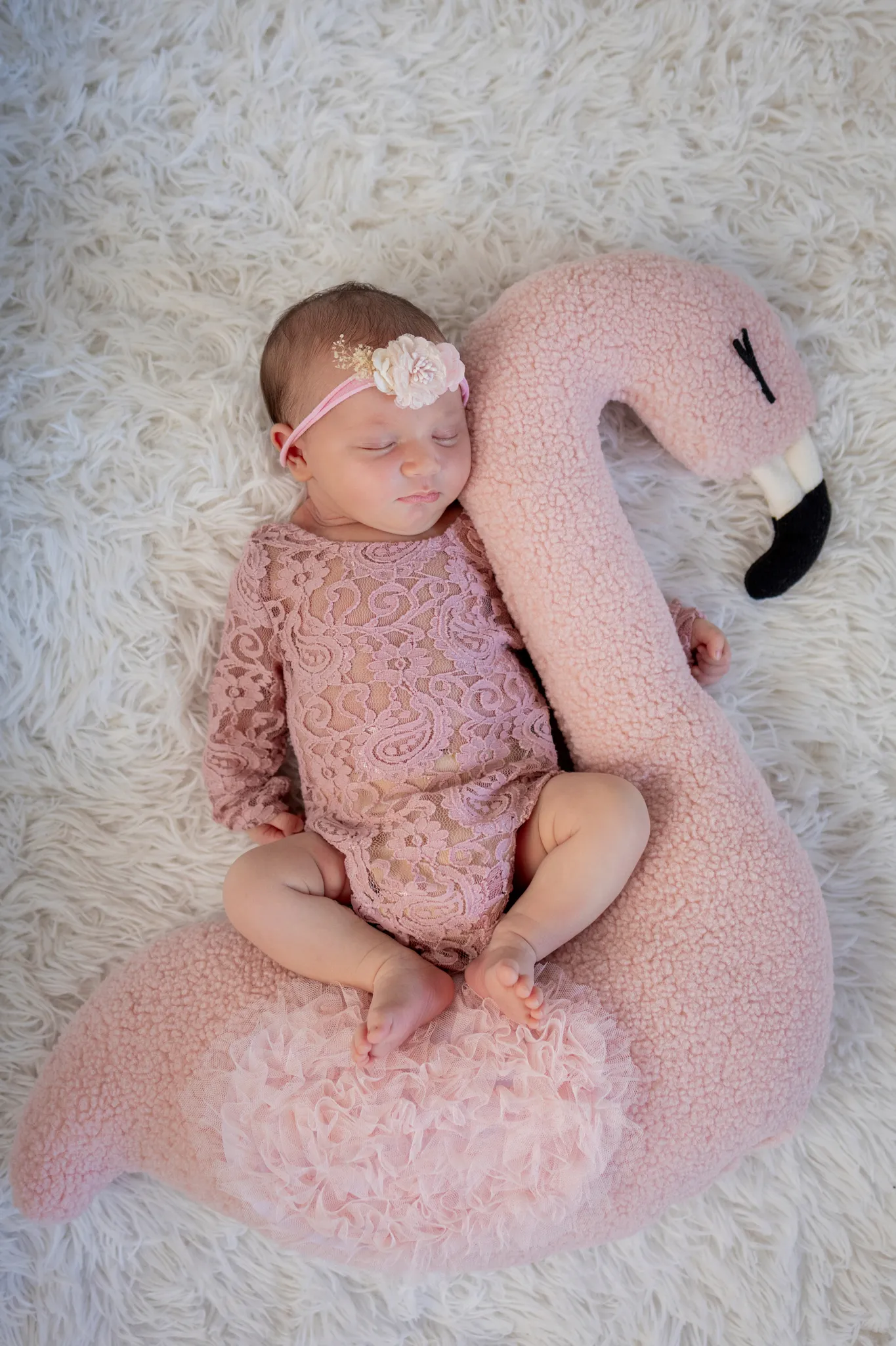 Servizio fotografico newborn a Roma, Arianna De Rossi